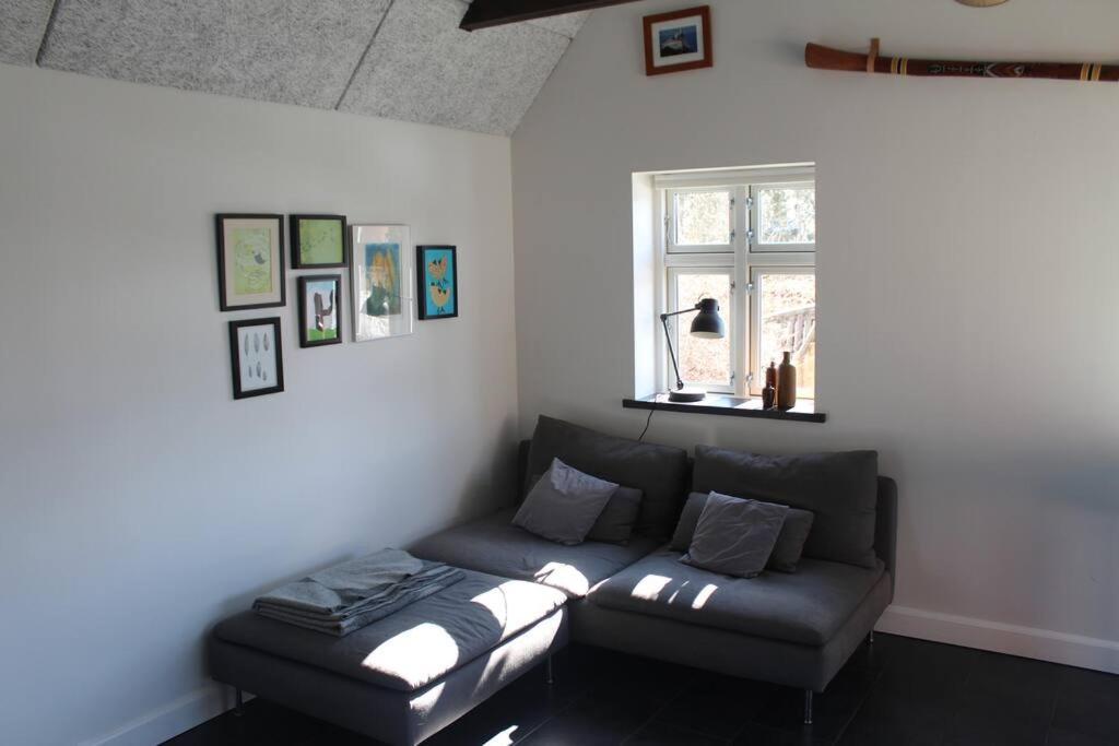 Large Modern Family Room - “Arnely” Tommerup Exterior photo